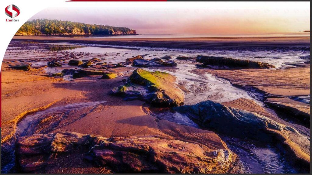 نیوبرانزویک