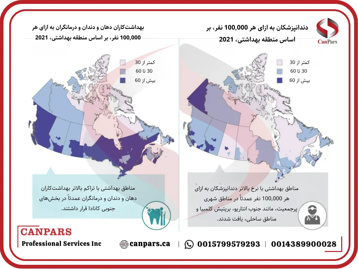 عرضه، توزیع و آمارهای کلیدی