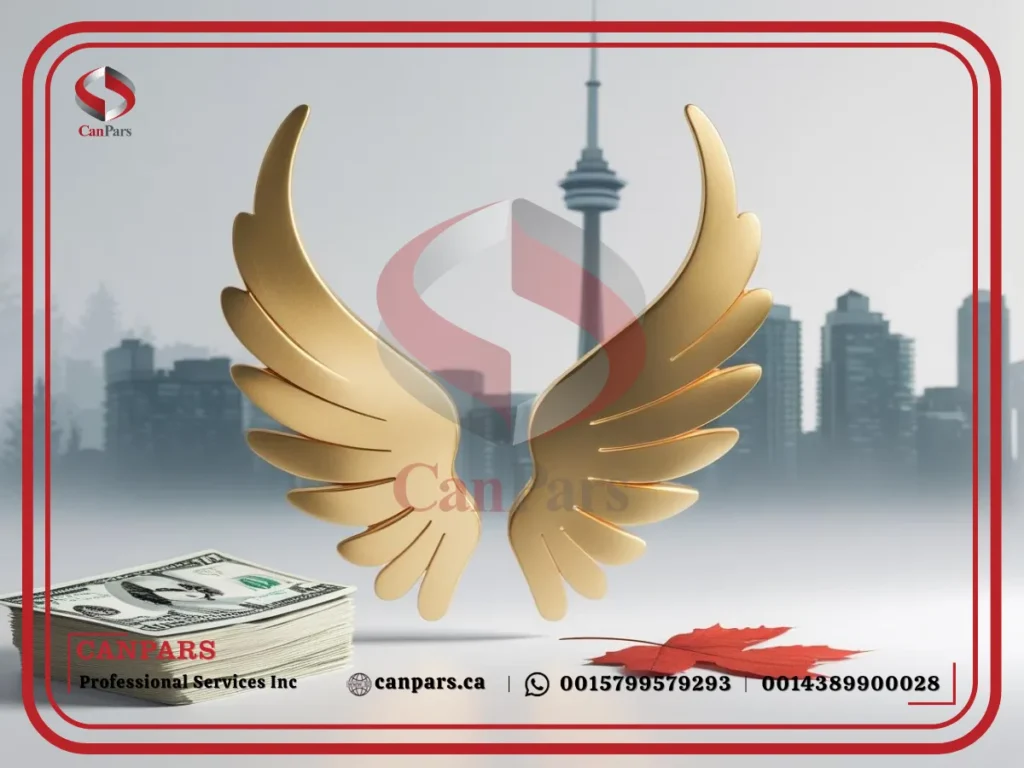 انجل اینوستر: حمایت انعطافپذیر